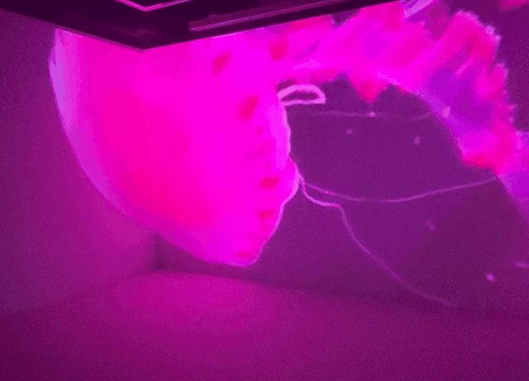 image-3-768x553.png
